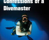 Confessions of a Divemaster