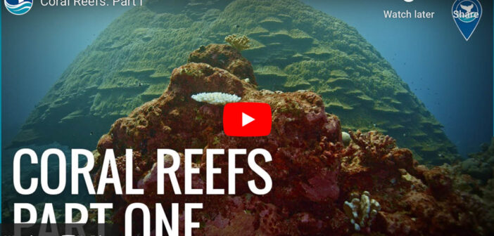 Coral Reefs: Part I