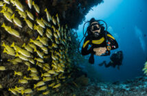 Diver Underwater
