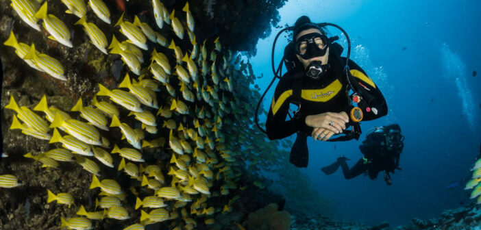 Diver Underwater