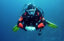 Diver