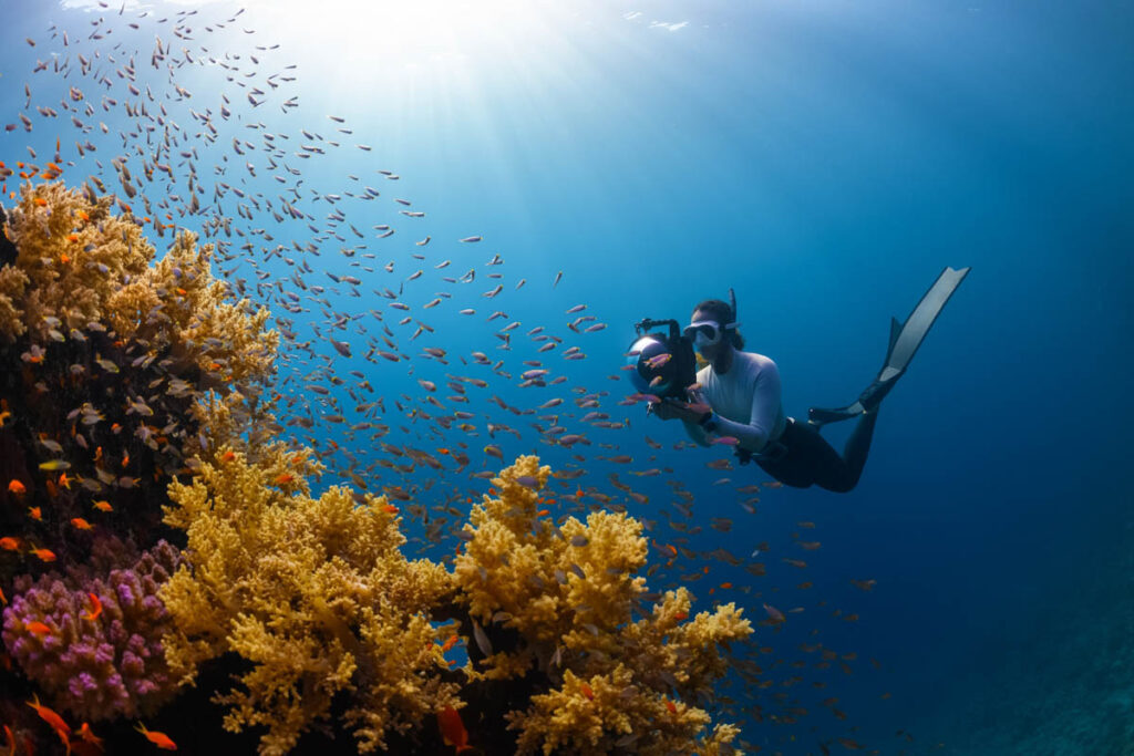 Diver with Camera