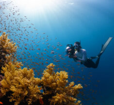 Corey Phillips Presents an Underwater Photography Class 