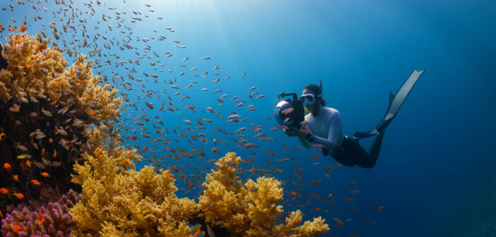 Diver with Camera