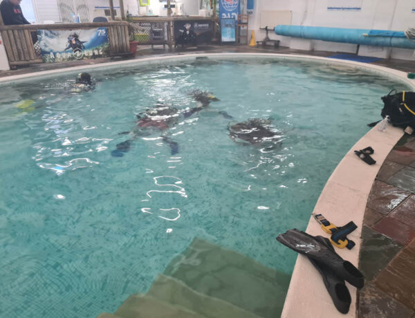 Upminster Based Diverse Scuba Ceases Operations