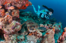 Euro Divers Meeru Island, Maldives