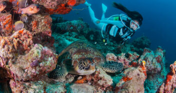 Fantastic Family Offer From Euro-Divers Meeru Island in the Maldives Euro Divers Meeru Island, Maldives