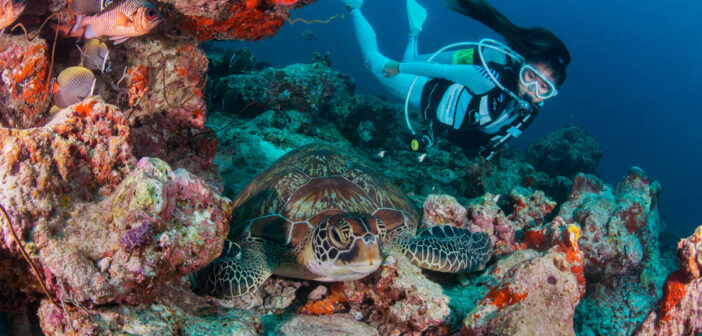 Euro Divers Meeru Island, Maldives