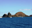 Galapagos Liveaboard Travel