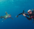 Shark Trust UK