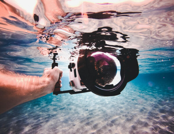 Shooting Underwater Video for Dummies and Not-Dummies – A Free Online Workshop