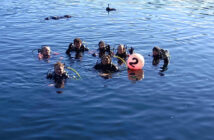 Victoria Spencer - Running a Dive School