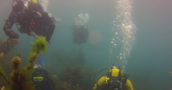 Winter Diving New Zealand