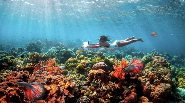 Aquatoys