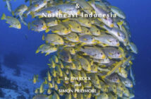 Raja Ampat