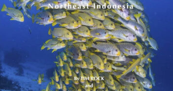 Raja Ampat