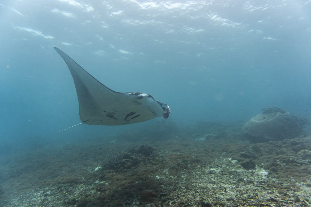 Komodo National Park