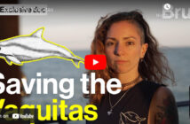 Save the Vaquitas