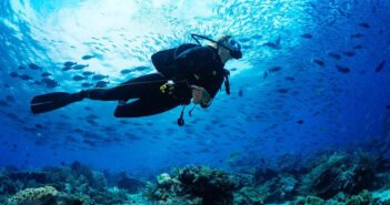 Scuba Diving California