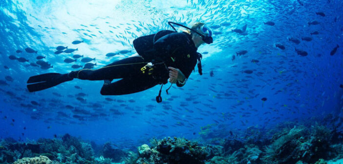 Scuba Diving California