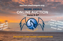 Shark Angels Auction Jun 2023