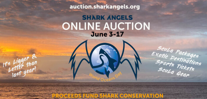 Shark Angels World Oceans Day Auction 2023 Launches
