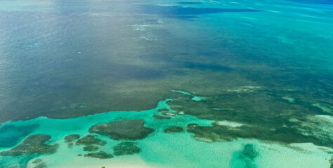 Top 10 Dive Sites in the Bahamas