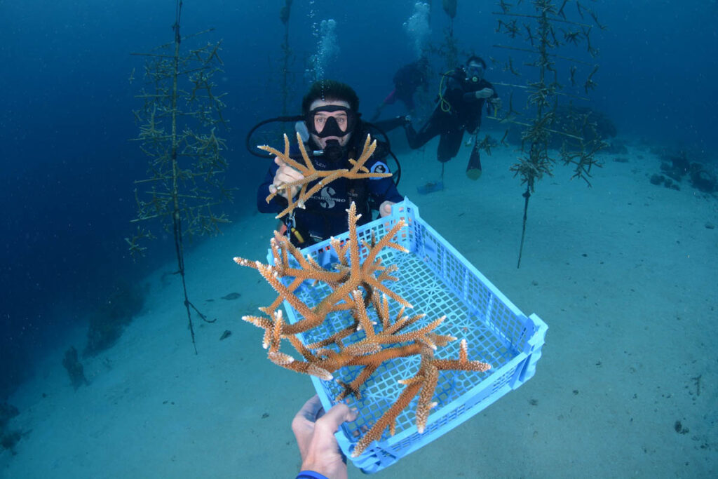 Dive Curaçao