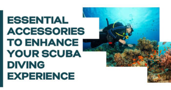 Beyond The Basics: 11 Essential Accessories To Enhance Your Scuba Diving Experience Essential Accessories