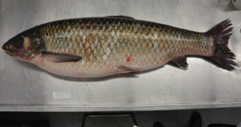 How Canada Responds to Aquatic Invasive Species Invasive Species Canada