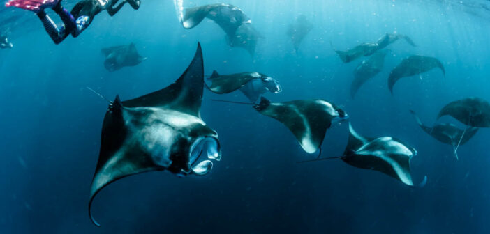 Maldives: Atolls of Bliss