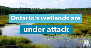 Protect Ontario’s Precious Wetlands Ontario Wetlands