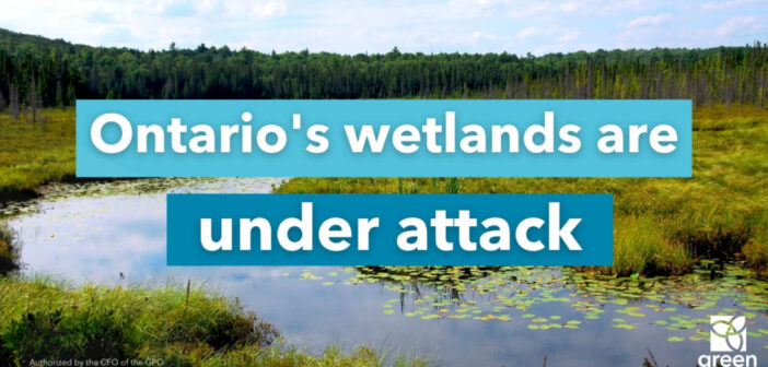 Ontario Wetlands