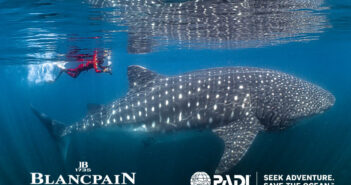 PADI and Blancpain Expand Partnership to Launch Critical Global Shark and Ray Census PADI Blancpain
