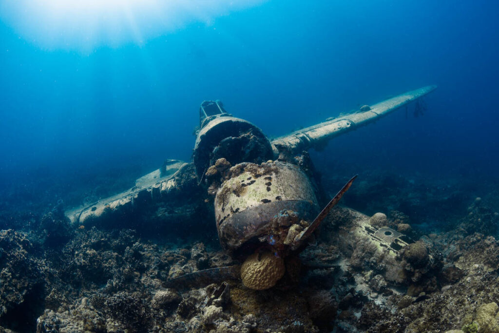 Palau Scuba Diving