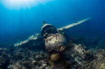 Palau Scuba Diving