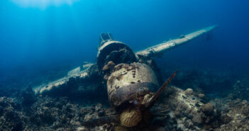 Dive Deeper with Master Liveaboards: Unveiling Exclusive Discounts on Unforgettable Underwater Expeditions Palau Scuba Diving