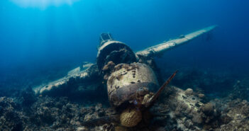 Palau Scuba Diving