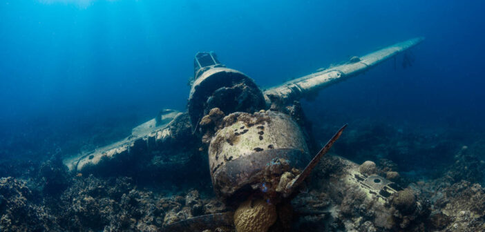 Palau Scuba Diving