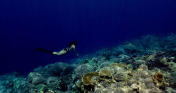 Discover the Philippines: A Diver’s Paradise Philippines