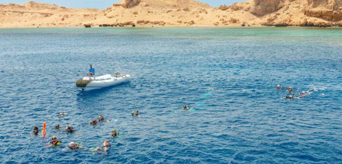 Red Sea Aggressor II from Red Sea Safaris