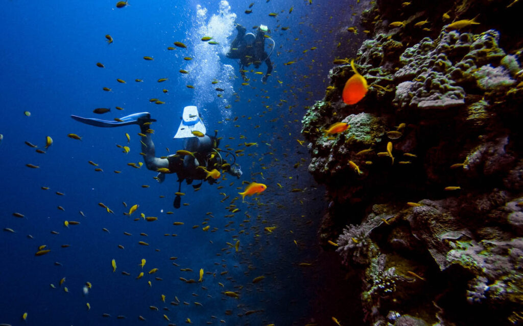 Scuba Diver Underwater