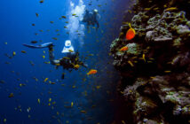 Scuba Diver Underwater