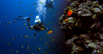 Scuba Diver Underwater