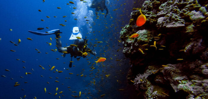 Scuba Diver Underwater