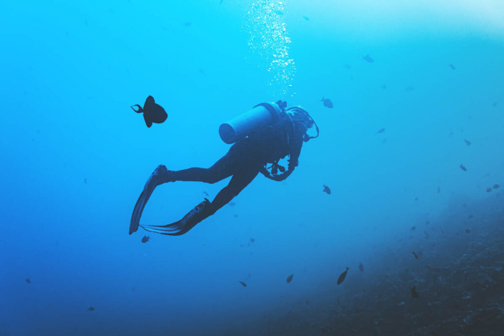 Scuba Diver Underwater