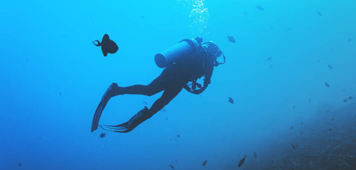 Scuba Diver Underwater