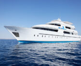 Seven Seas, Red Sea, Egypt: 26th October 2023, Daedalus, Fury and Elphinstone – 20% OFF
