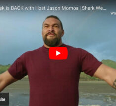 Get Ready for Shark Week 2023
