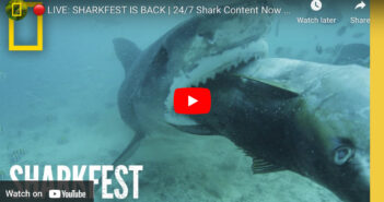 National Geographic Presents Sharkfest 2023 Sharkfest 2023